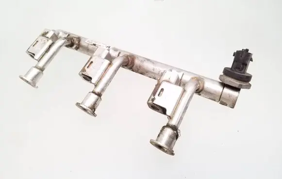 Ford Ecosport Fuel main line pipe 0261555137 Dm5g9h487aa 0261545039