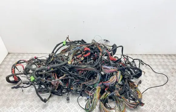 Other wiring loom