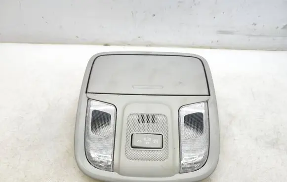 KIA Niro Front seat light 92800D90XX 92800G5010