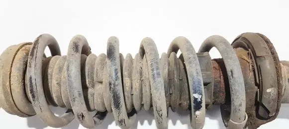Citroen C5 Rear coil spring