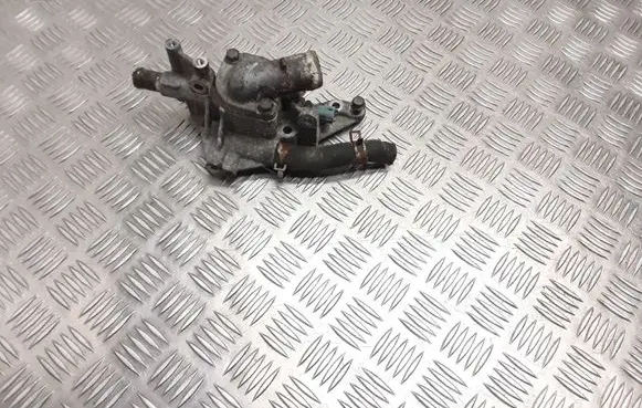 Thermostat/thermostat housing