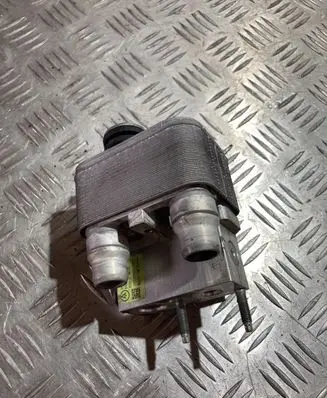 Citroen Berlingo Air conditioning (A/C) radiator (interior) 9821712380