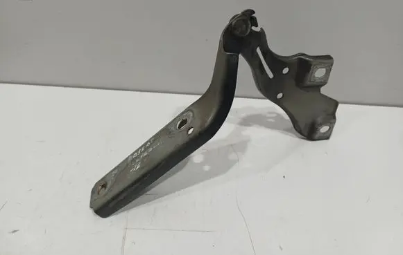 Volkswagen Passat Alltrack Engine bonnet/hood hinges 3C0823302 0216