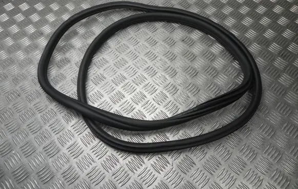 BMW X4 G02 Rubber seal rear door 7416517