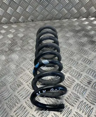 Rear coil spring