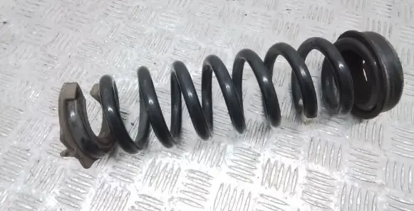 BMW 3 GT F34 Rear coil spring