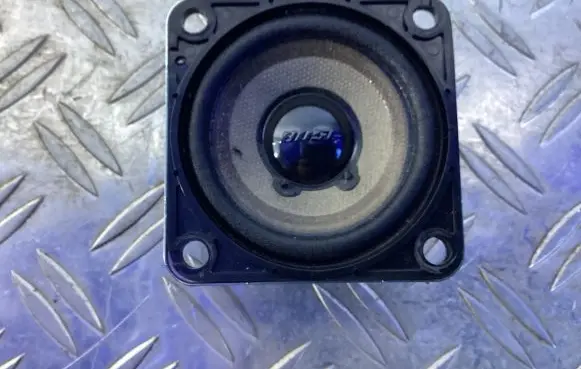 Panel speaker