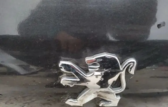 Peugeot 607 Manufacturer badge logo/emblem 