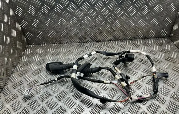 Toyota C-HR I Rear door wiring loom 82153F4130