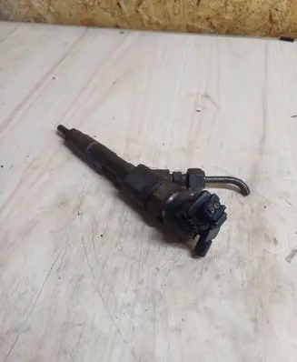 Renault Scenic II - Grand scenic II Fuel injector 0445110021