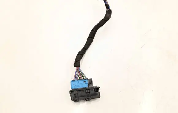 BMW 2 F45 Front door wiring loom 9221027