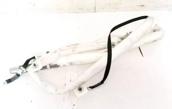Volvo C30 Roof airbag P31271076