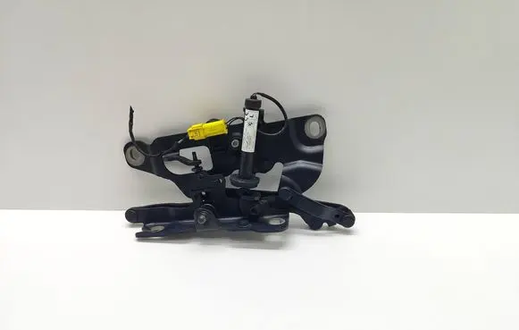 BMW 5 F10 F11 Engine bonnet/hood hinges 7249887 724988709