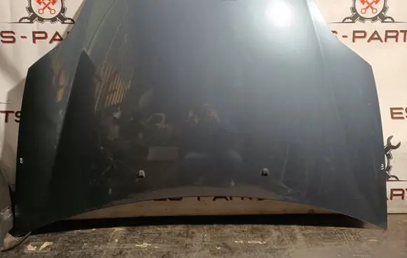 Fiat Bravo Engine bonnet/hood EEDEE333