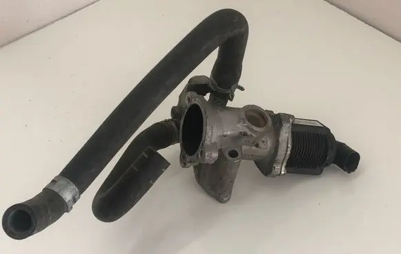 Suzuki Swift I EGR valve 55208498