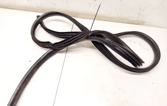 Dacia Sandero Rubber seal rear door PILKOS