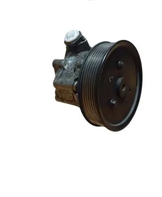 Renault Master III Power steering pump 491100915R