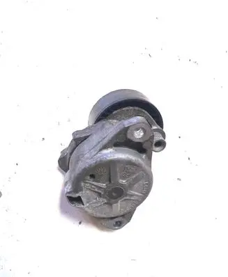 Mercedes-Benz C W204 Timing belt/chain tensioner A110570