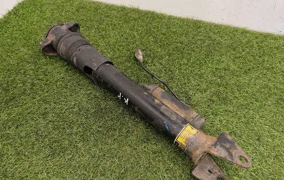 Rear shock absorber/damper