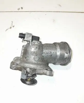 Thermostat/thermostat housing