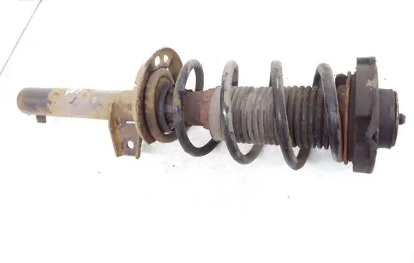 Front shock absorber with coil spring
