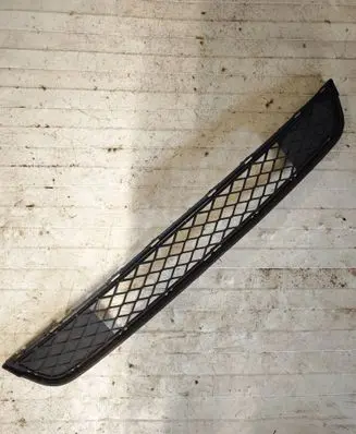 BMW X3 F25 Front bumper lower grill
