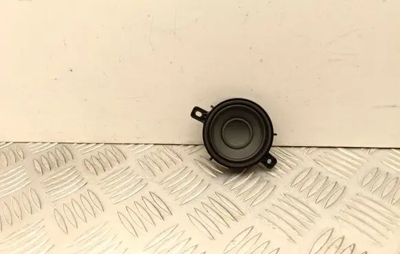 Tesla Model 3 Panel speaker 111889400B