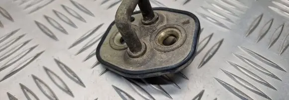 Citroen C3 Rear door lock loop/hook striker 9640454980