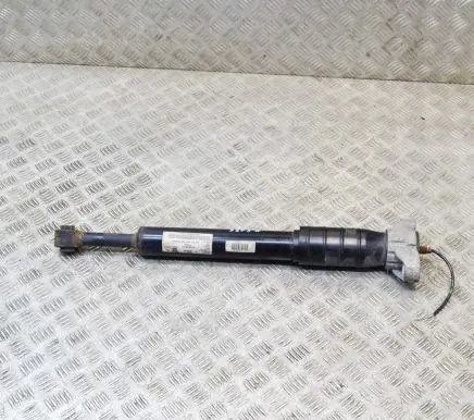 Maserati Quattroporte Rear shock absorber/damper 462400008619 670005457