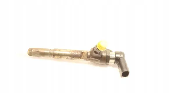 Renault Megane III Fuel injector
