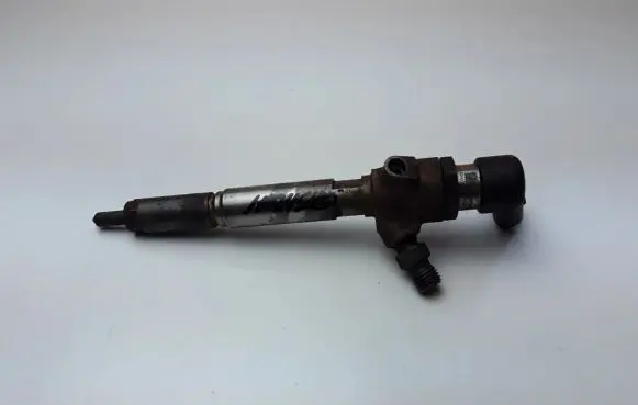 Nissan Qashqai Fuel injector H8200294788