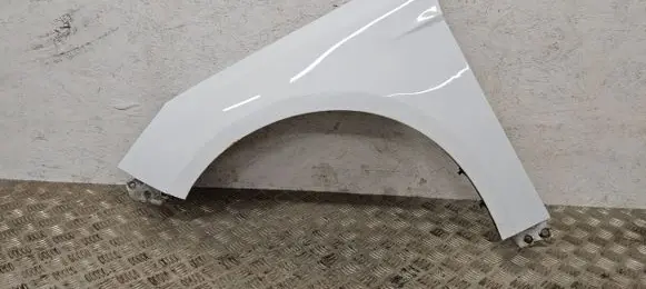 Ford Focus Fender
