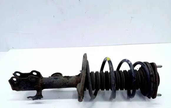 Toyota RAV 4 (XA40) Front shock absorber/damper 4852042660