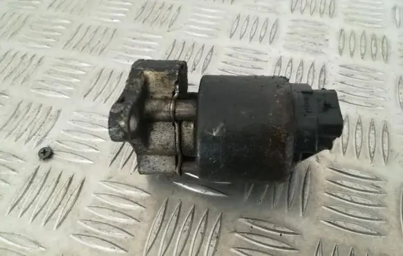 EGR valve