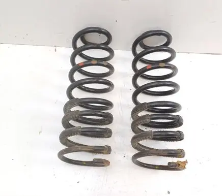 Rear coil spring