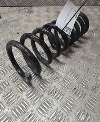 Rear coil spring