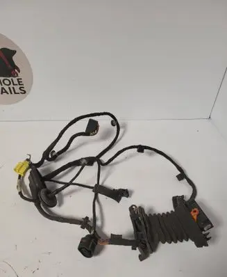 Volkswagen PASSAT B6 Front door wiring loom 1k0941907