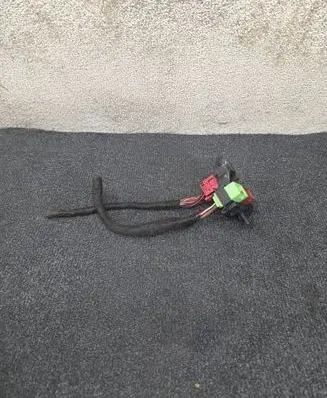 Other wiring loom