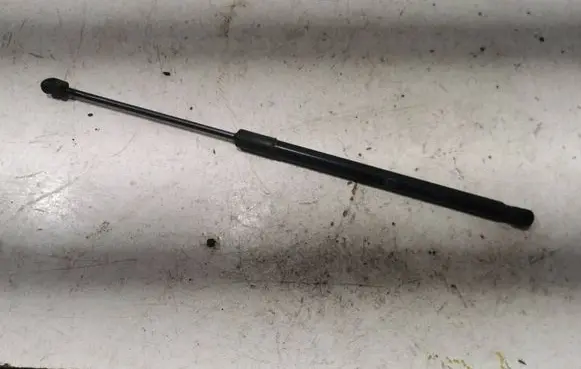 Tailgate/trunk strut/damper