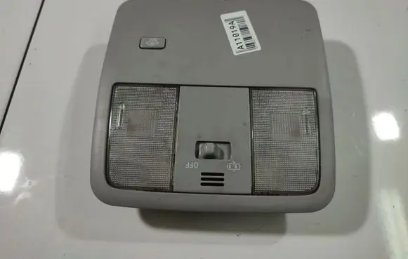 Toyota Avensis T270 Front seat light 8973220031
