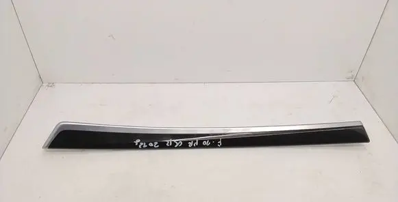BMW 5 F10 F11 Front door trim (molding) 9171781