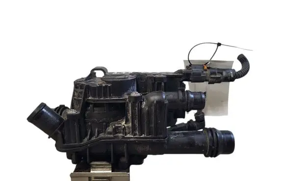 Thermostat/thermostat housing