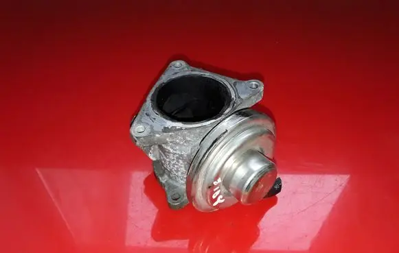 Skoda Roomster (5J) EGR valve 038131504A 256623094
