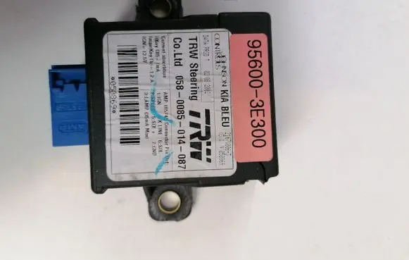 KIA Sorento Other control units/modules 956003E300