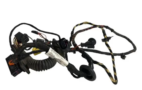 Front door wiring loom