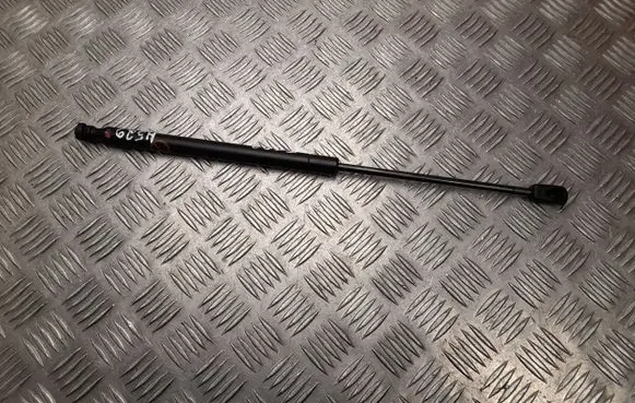 Ford Mustang Mach-E Tailgate/trunk/boot tension spring LJ8BR16C827AB
