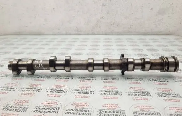 Audi Q7 4L Camshaft 079109102BH 020000684
