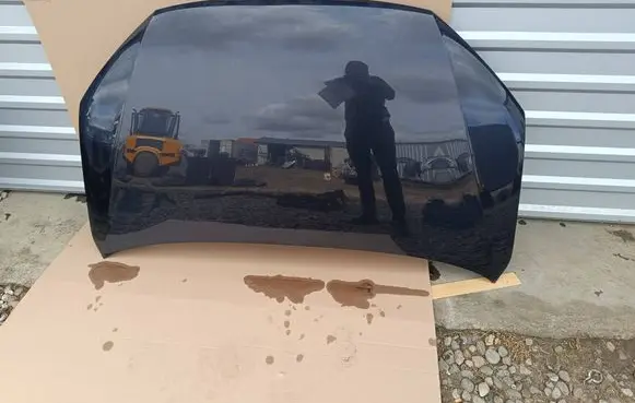 Seat Alhambra (Mk2) Engine bonnet/hood 7N0LC9X