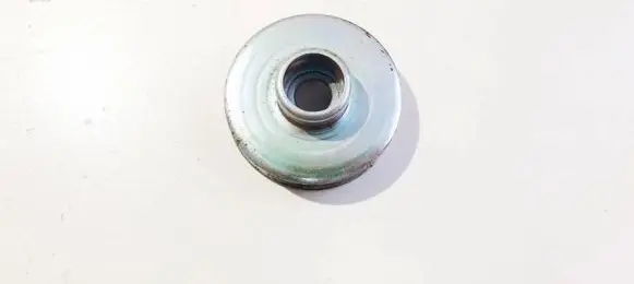 Coil spring mount