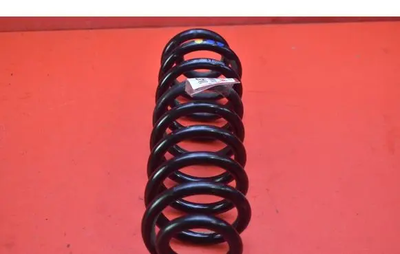 Dacia Spring Rear coil spring 